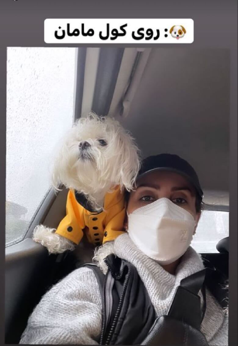 پرستو صالحی از بچه‌اش رونمایی کرده است.