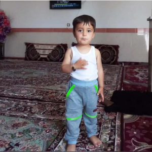 ربوده شدن امیرعلی