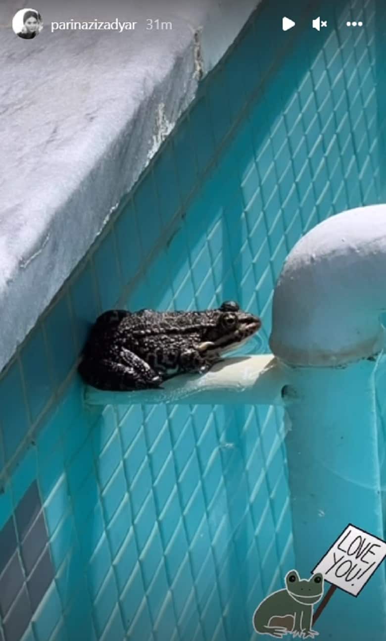 پریناز ایزدیار از قورباغه استخرش رونمایی کرده است.
