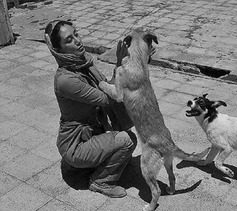 هدیه تهرانی تمایزش را با ستاره‌ها نشان داده است.