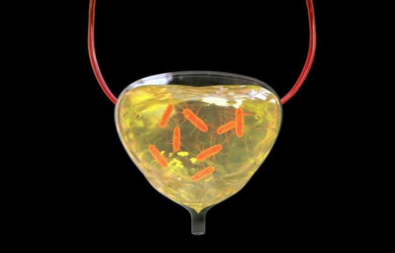 زیر دوش نباید ادرار کرد.