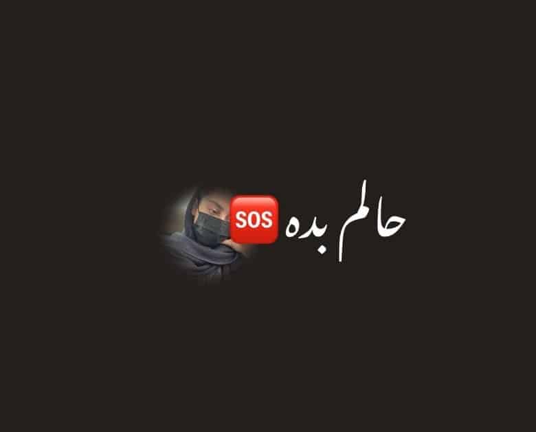 ترلان پروانه درخواست کمک کرده است.