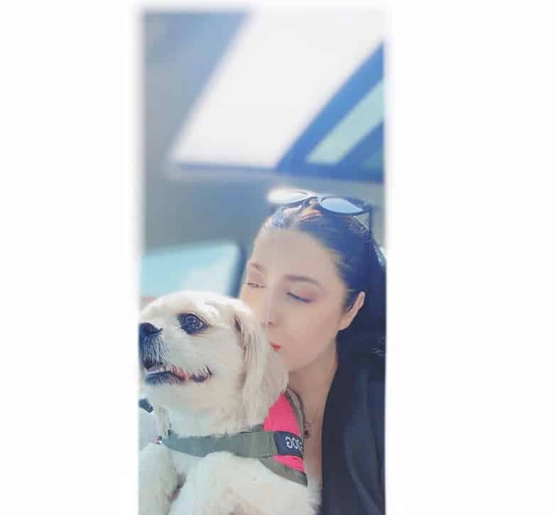 نازنین کریمی بی‌خیال سگش نمی‌شود.