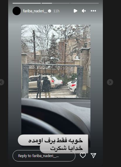 طعنه جنجالی فریبا نادری به چالشهای بعد از بارش برف! طعنه جنجالی فریبا نادری به چالشهای بعد از بارش برف!
