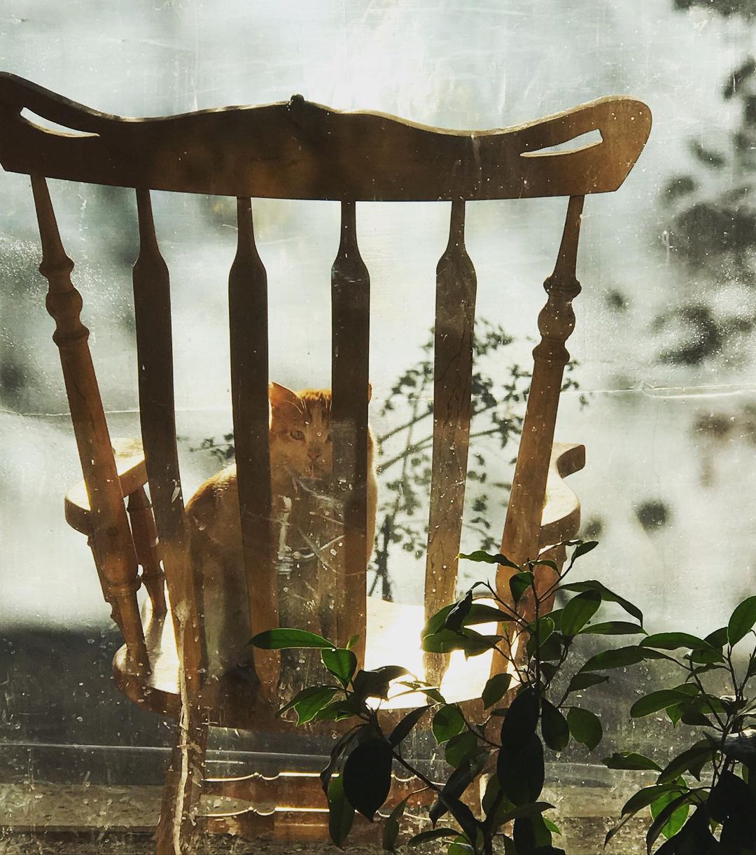 عکس/ شهره سلطانی با لباس های مردانه غیر قابل شناسایی شد 25 بهمن 1401-23:190399 خواندن این مطلب 1 دقیقه زمان میبرد شهره سلطانی با لباس های مردانه غیر قابل شناسایی شد شهره سلطانی بازیگر سینما و تلویزیون با انتشار تصویری از تیپ مردانه اش در اینستاگرام با واکنش های متعددی روبرو شده است. وقت صبح- آن هایی که سن و سالی دارند و آثار شهره سلطانی را دنبال کرده اند، احتمالا می دانند که او با نقش معصومه در سریال روزی روزگاری دیده شد. او خیلی زود موفق شد که نظر مخاطبان و منتقدان را جلب کند و مسیرش را برای حضور پررنگ تر در سینما و تلویزیون هموار کند. شهره سلطانی حالا حدود 31 سال است که در این عرصه حضور دارد و همچنان به ایفای نقش می پردازد. خرید فلافل نیمه آماده منجمد فرنان ۱ کیلوگرمی با بهترین قیمت خرید فلافل نیمه آماده منجمد فرنان ۱ کیلوگرمی با بهترین قیمت خرید کنید yektanet-logo-signتبلیغ او در کنار بازیگری در شبکه های اجتماعی هم فعال است و به تازگی تصویری عجیب از تیپ و ژست مردانه اش منتشر کرده که به اعتقاد کاربران او را به شدت تغییر داده است. عکس/ شهره سلطانی با لباس های مردانه غیر قابل شناسایی شد 25 بهمن 1401-23:190399 خواندن این مطلب 1 دقیقه زمان میبرد شهره سلطانی با لباس های مردانه غیر قابل شناسایی شد شهره سلطانی بازیگر سینما و تلویزیون با انتشار تصویری از تیپ مردانه اش در اینستاگرام با واکنش های متعددی روبرو شده است. وقت صبح- آن هایی که سن و سالی دارند و آثار شهره سلطانی را دنبال کرده اند، احتمالا می دانند که او با نقش معصومه در سریال روزی روزگاری دیده شد. او خیلی زود موفق شد که نظر مخاطبان و منتقدان را جلب کند و مسیرش را برای حضور پررنگ تر در سینما و تلویزیون هموار کند. شهره سلطانی حالا حدود 31 سال است که در این عرصه حضور دارد و همچنان به ایفای نقش می پردازد. خرید فلافل نیمه آماده منجمد فرنان ۱ کیلوگرمی با بهترین قیمت خرید فلافل نیمه آماده منجمد فرنان ۱ کیلوگرمی با بهترین قیمت خرید کنید yektanet-logo-signتبلیغ او در کنار بازیگری در شبکه های اجتماعی هم فعال است و به تازگی تصویری عجیب از تیپ و ژست مردانه اش منتشر کرده که به اعتقاد کاربران او را به شدت تغییر داده است.