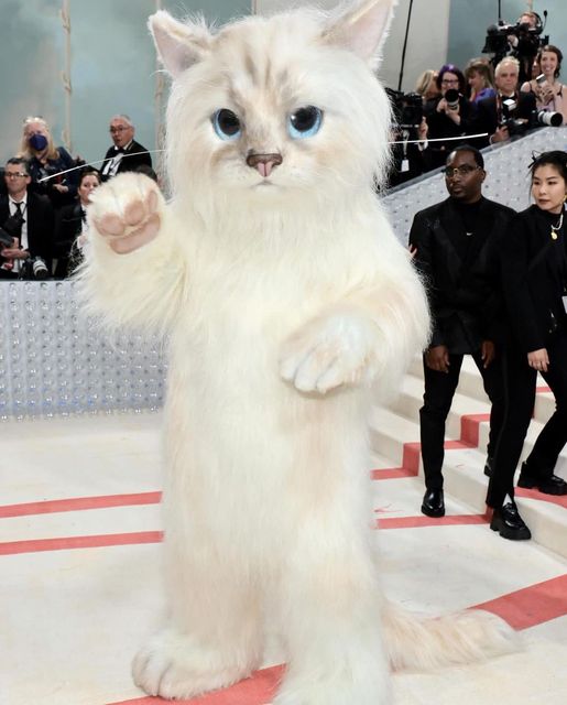 جنجالی ترین استایل مت گالا را این آقای 51 ساله داشت+عکس جنجالی ترین استایل مت گالا را این آقای 51 ساله داشت+عکس