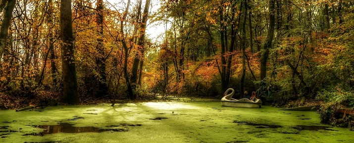 راه‌هایی برای خرید بلیط ارزان به مقصد رشت