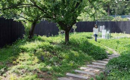 با رفتن به این &ldquo;توالت&rdquo; حسابی آرامش نصیبتان می شود/ عکس