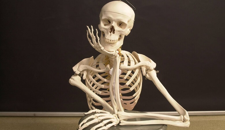 مریم امیرجلالی برای دزدان نوشت