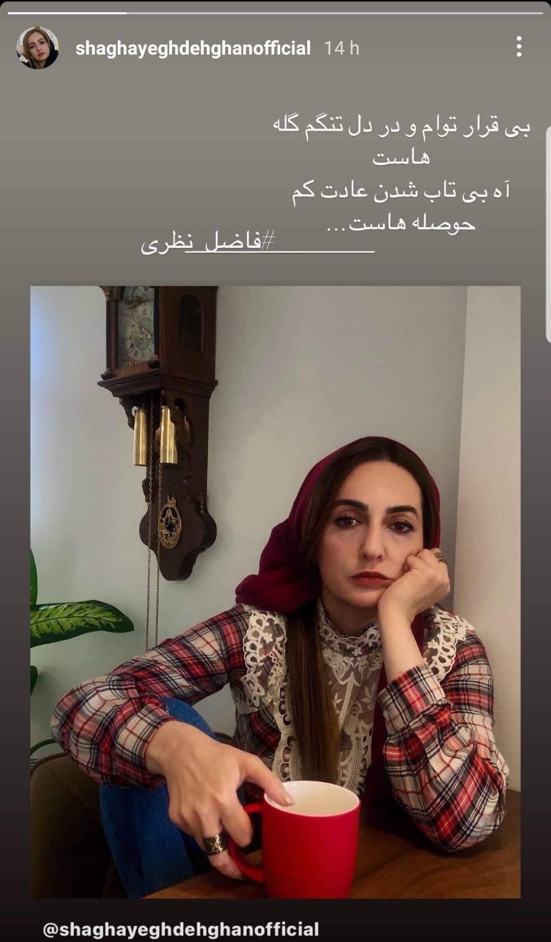 شقایق دهقان