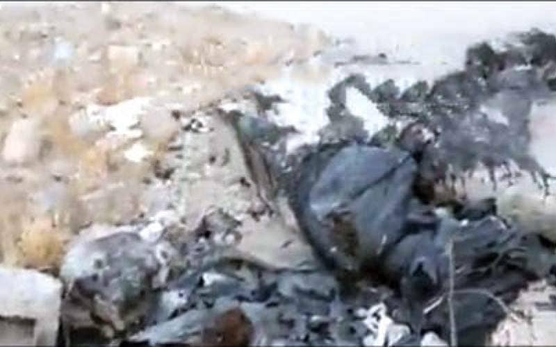 سوزاندن سگ ها در کیسه زباله
