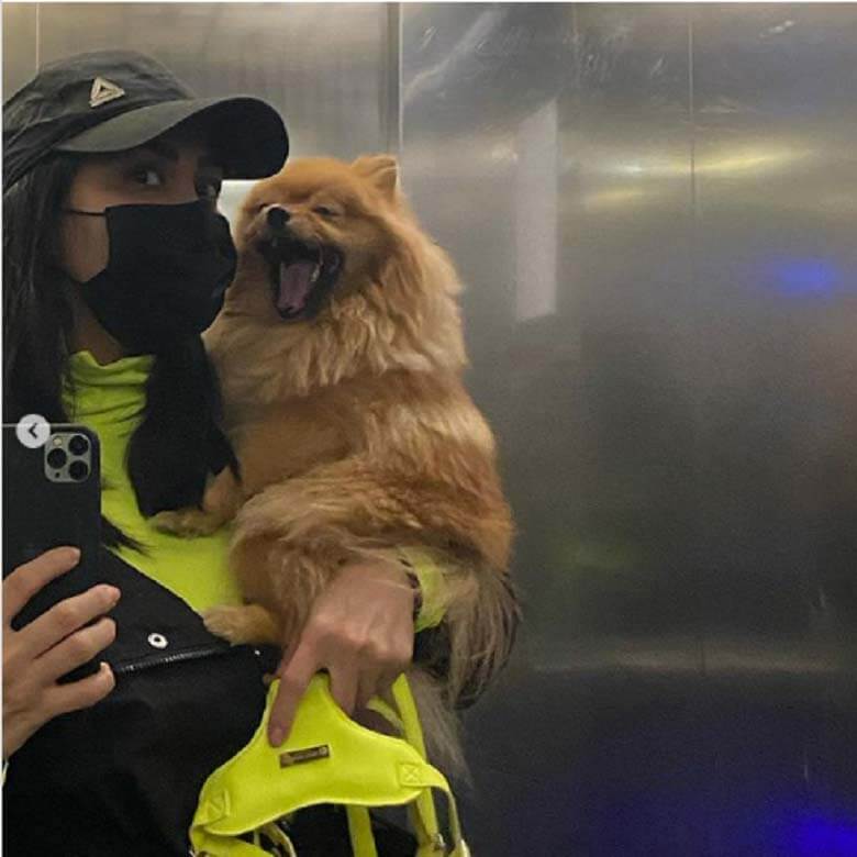 مریم معصومی پز سگ را داد.