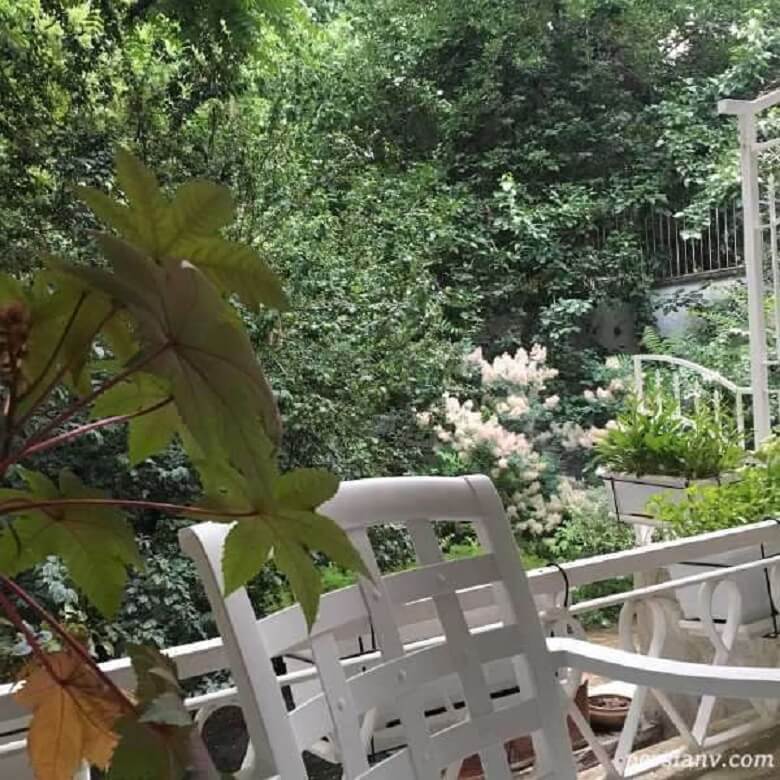 نیکی کریمی در شمال تهران ویلای لوکس دارد.