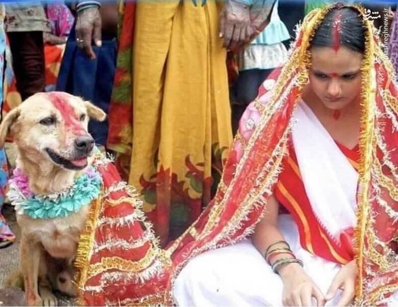 دختر هندی با یک سگ ازدواج کرد.