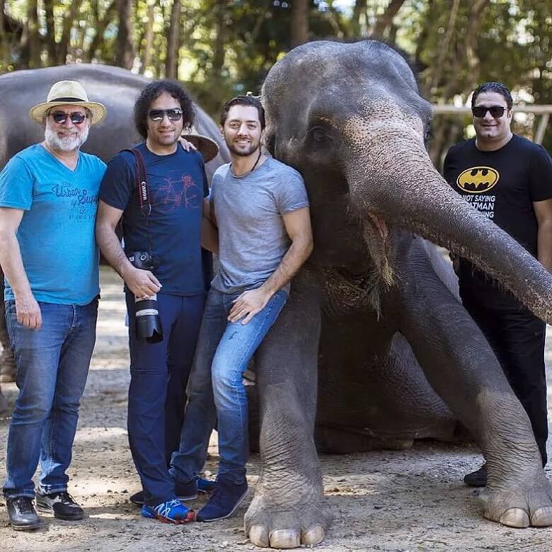 بهرام رادان، رضا یزدانی و آتیلا پسیانی با حضور یک فیل دور هم هستند.